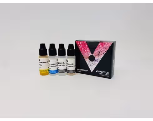 Vectastain elite abc kit (mouse igg)
