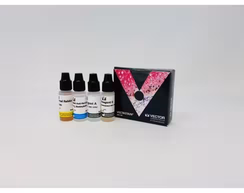 Vectastain elite abc kit (rat igg)
