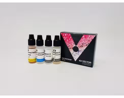 Vectastain elite abc kit (goat igg)