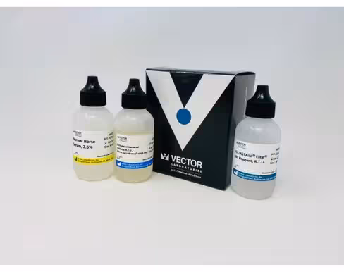 Vectastain elite abc kit rtu universal (horse anti rabbit/mo
