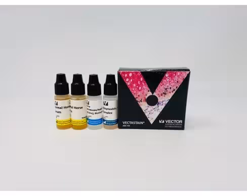 Vectastain universal quick kit