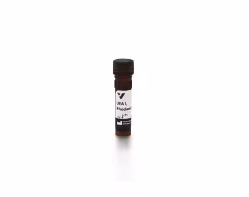 Rhodamine ulex europaeus agglutinin 2 mg