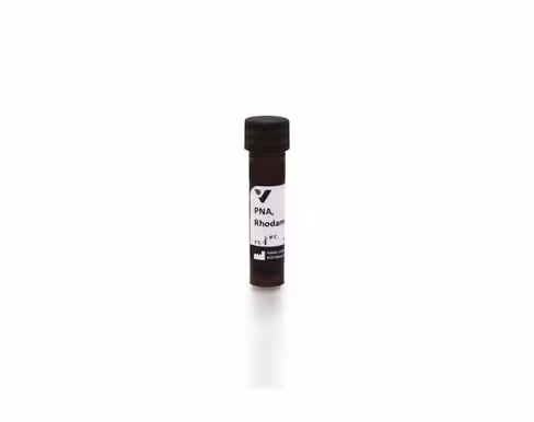 Rhodamine peanut agglutinin 5 mg