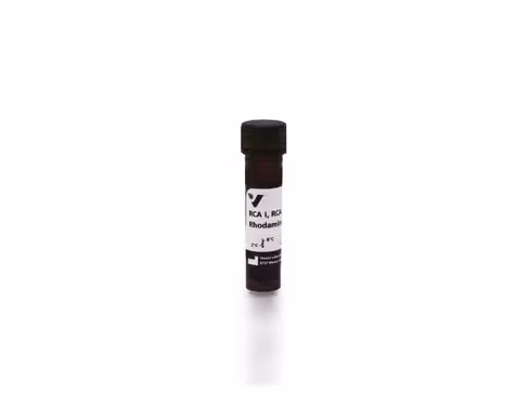 Rhodamine ricinus communis agglutinin i (120) 5 mg
