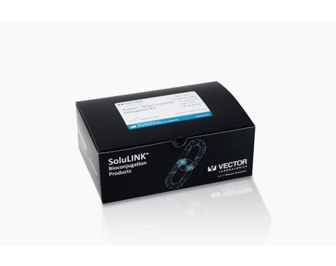 Protein-oligo conjugation kit