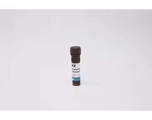 Fluorescein streptavidin 1 mg