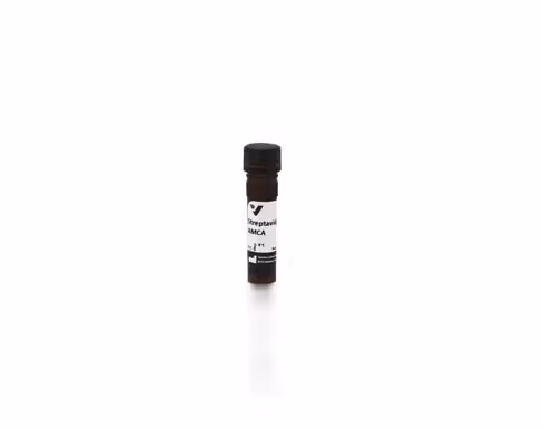 Amca streptavidin 1 mg