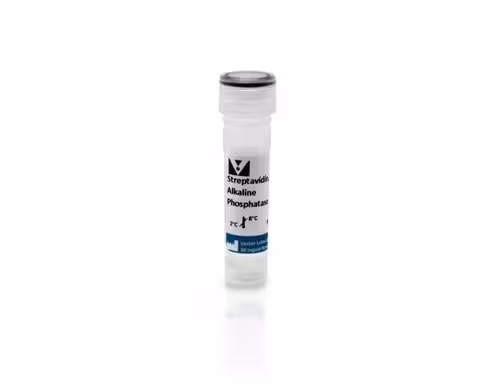 Alkaline phosphatase streptavidin 1 mg