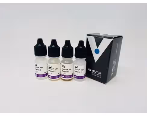 Vector vip peroxidase substrate kit