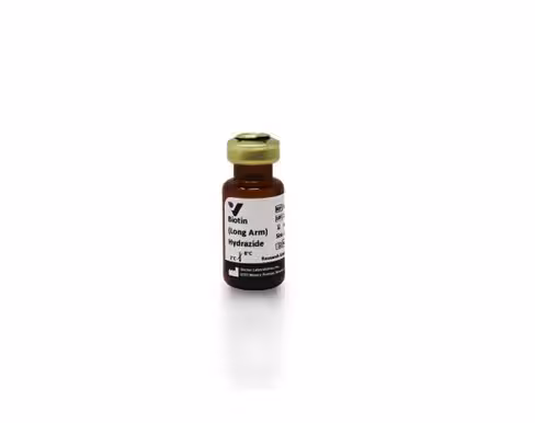 Biotin (long arm) hydrazide (50mg)
