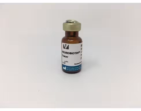 Neurobiotin tracer (20mg)