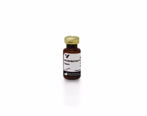 Neurobiotin tracer (50mg)