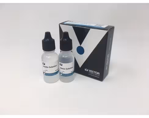 Avidin/biotin blocking kit