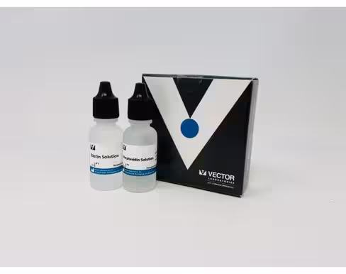 Streptavidin/biotin blocking kit