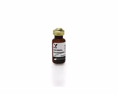 Anti-biotin (made in goat) 1 mg