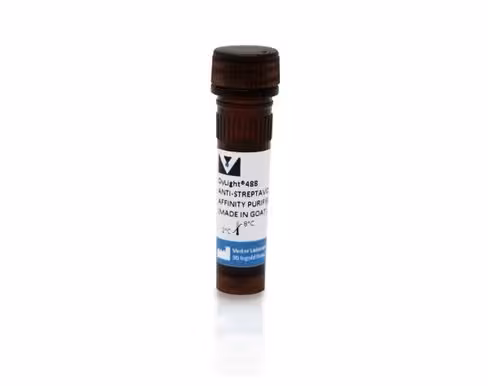 Dylight 488 anti-streptavidin (made in goat) (0.5mg)