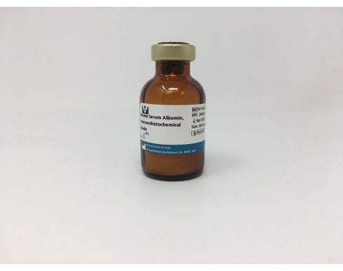 Bovine serum albumin (500mg)