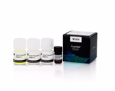 Vector trueview autofluorescence quenching kit 15 ml