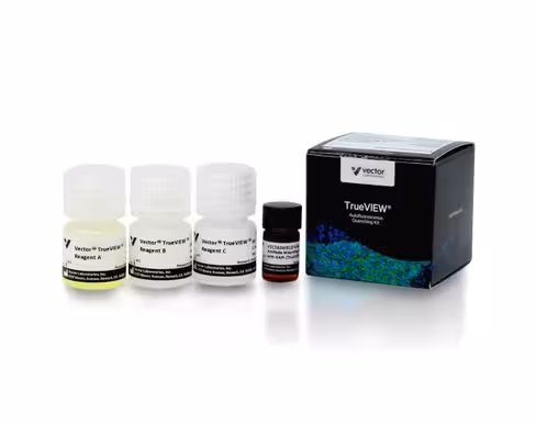 Vector trueview autofluorescence quenching kit with dapi