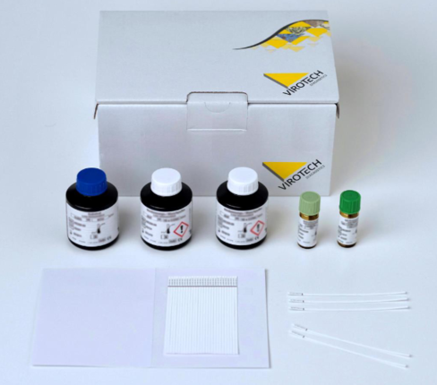T.pallidum igg line-16 1 kit de 16 immunoblots