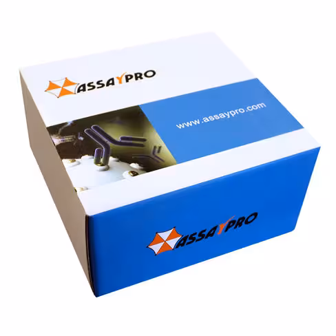 Glucokinase /Hexokinase-4 Human ELISA 1 ampoule