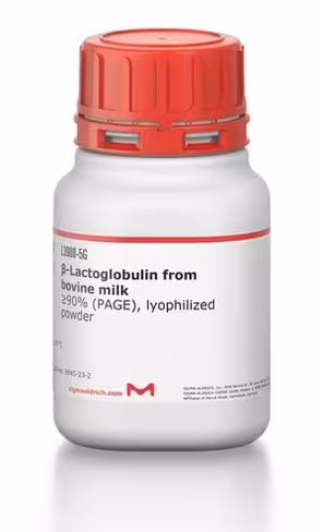 B-lactoglobulin from bovine milk 5 g