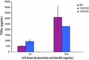 Lipopolysaccharides from escherichia co 10 mg