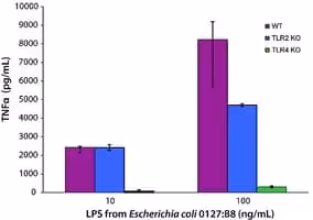 Lipopolysaccharides from escherichia 10 mg