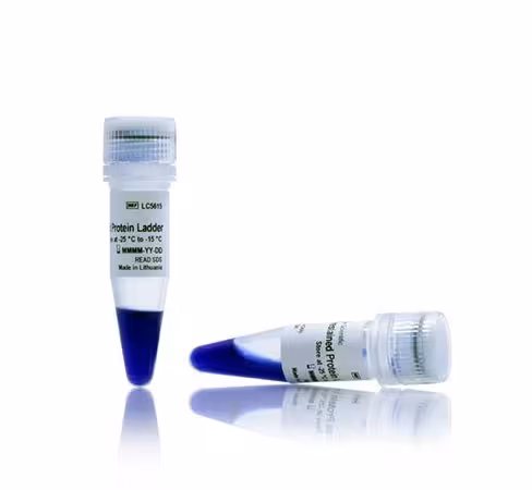 Ibright prestained protein ladder-2 x 250 µL