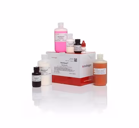 Silverquest silver staining kit-1 kit