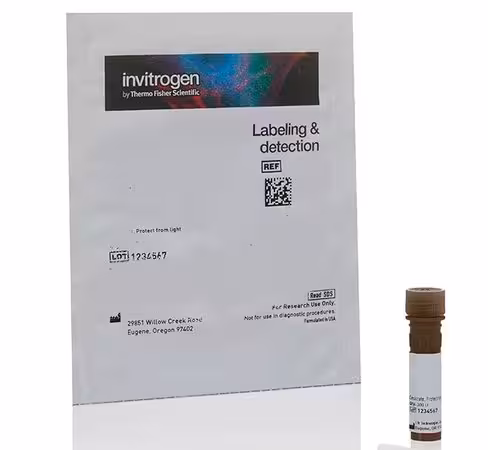 Lycopersicon esculentum (tomato) lectin (lel, tl), dylight 649-1 µg 1 mg