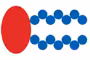 Lipid Droplet Isolation Kit 50preps 50 réactions