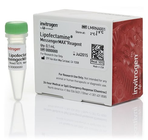 Lipofectamine messengermax transfection reagent-0.1 ml