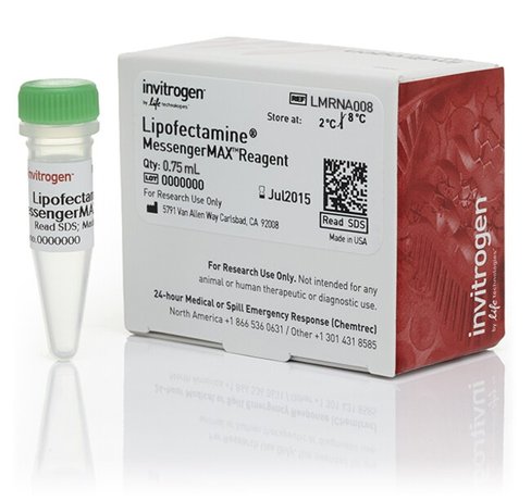 Lipofectamine messengermax transfection reagent-0.75 ml