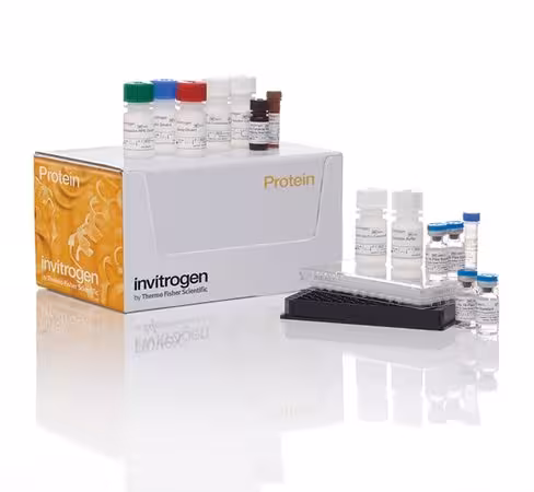 Cytokine 29-plex monkey panel-100 tests