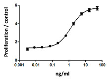 Recombinant Human M-CSF (carrier-free) 25 µg