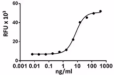 Recombinant Rat M-CSF (carrier-free) 25 µg