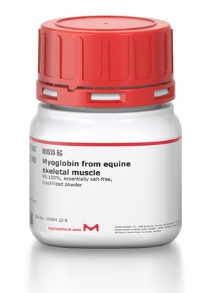 Myoglobin from horse skeletal muscle 250 mg