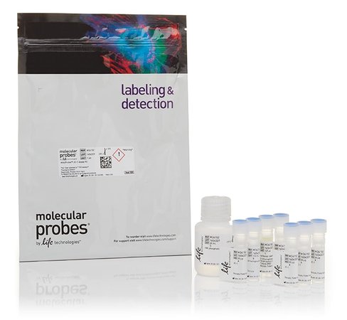 Mitoprobe jc-1 assay kit-1 kit