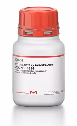 Micrococcus lysodeikticus atcc 4698 25 g
