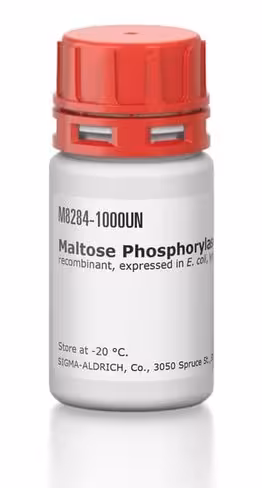 Maltose phosphorylase b250 U