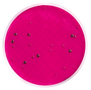 Milliflex agar cassettes (m endo) 1 pack