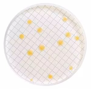 Milliflex agar cassettes (pca) 1 pack