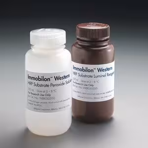 Immobilon western chemiluminescent hrp substrate 2 x 250 ml
