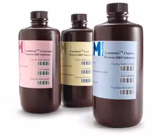 Immobilon crescendo western hrp substrate 20 ml