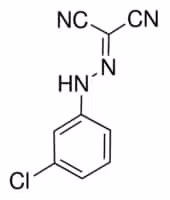 Carbonyl cyanide 3-chlorophenylhydraz 250 mg