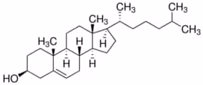 Cholesterol poudre sup à 99% bioreagent pour culture cellulaire 25 g
