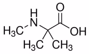 alpha-(Methylamino)isobutyric acid 97% (titration), 1 g
