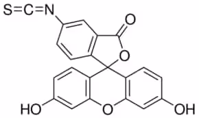 Fluorescein isothiocyanate isomer I 97.5% (HPLC), 250 mg