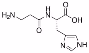 L-carnosine crystalline 25 g